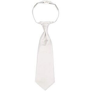 Lady Anne Grey Ties & Bow Ties Men